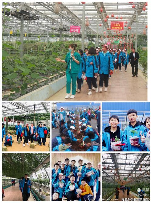 锦江区社区研学项目怎么样？持续多久了？