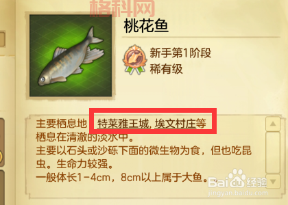 冒险岛2钓鱼时装值得入手吗？老玩家带你分析一波！