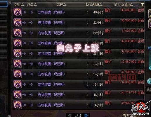 dnf白兔子叫什么名字？老玩家来告诉你正确答案！