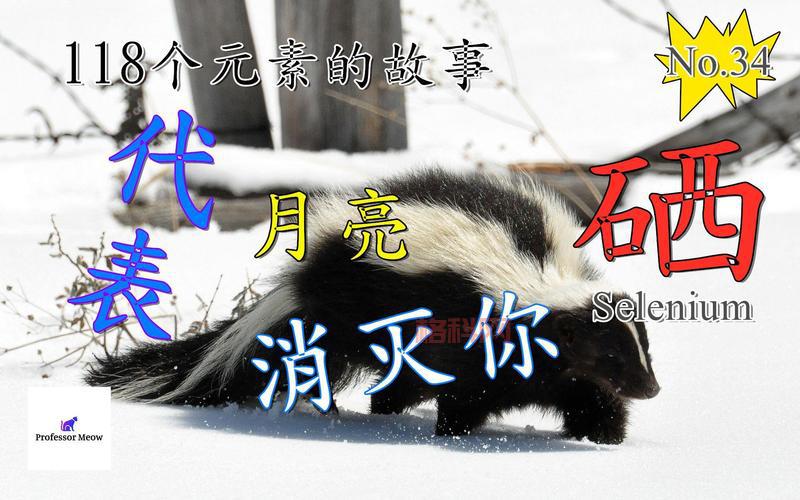 我代表月亮消灭你们下一句是什么？网友神回复！