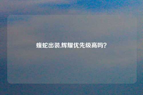 蝮蛇出装,辉耀优先级高吗？