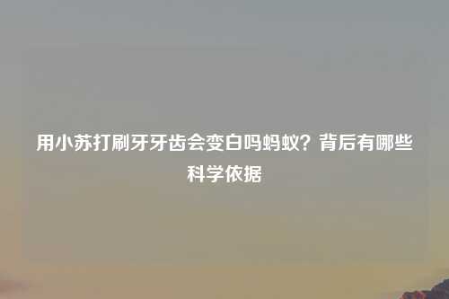 用小苏打刷牙牙齿会变白吗蚂蚁？背后有哪些科学依据