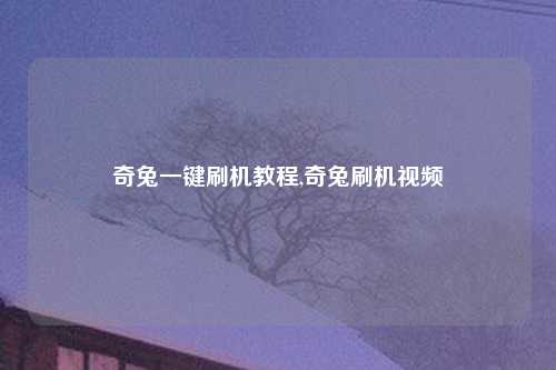 奇兔一键刷机教程,奇兔刷机视频