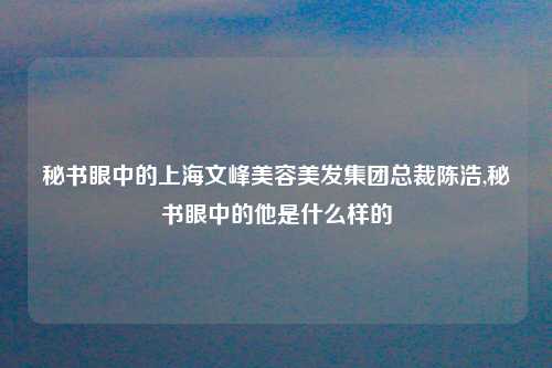 秘书眼中的上海文峰美容美发集团总裁陈浩,秘书眼中的他是什么样的