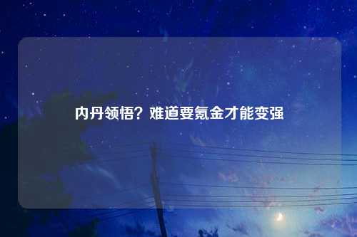 内丹领悟？难道要氪金才能变强