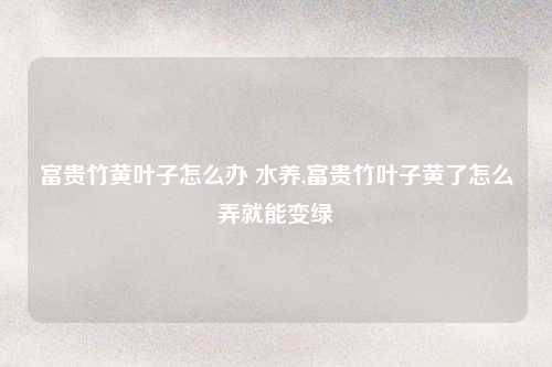 富贵竹黄叶子怎么办 水养,富贵竹叶子黄了怎么弄就能变绿