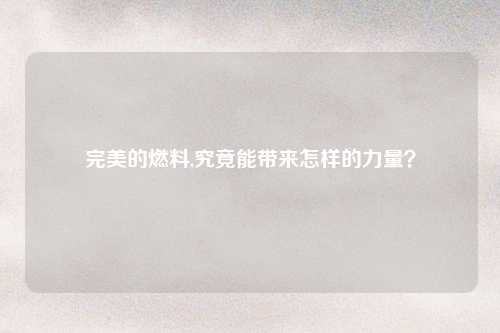 完美的燃料,究竟能带来怎样的力量？