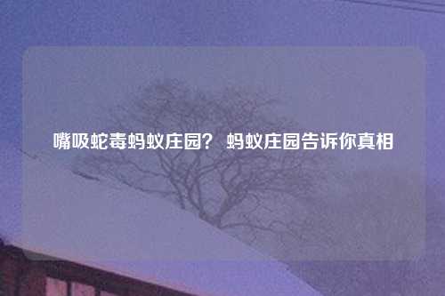 嘴吸蛇毒蚂蚁庄园？ 蚂蚁庄园告诉你真相