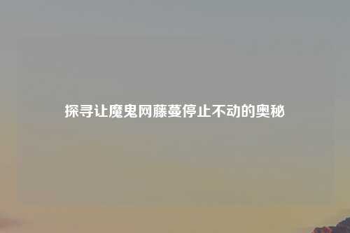 探寻让魔鬼网藤蔓停止不动的奥秘