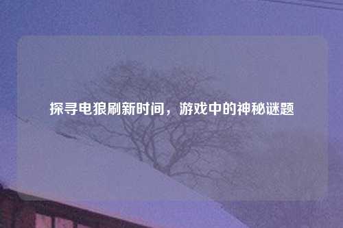 探寻电狼刷新时间，游戏中的神秘谜题