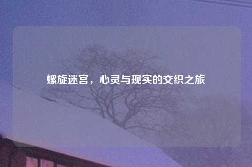 螺旋迷宫，心灵与现实的交织之旅