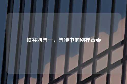 峡谷四等一，等待中的别样青春