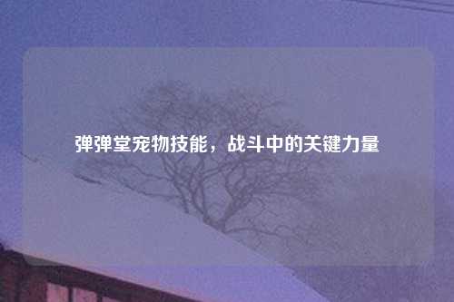 弹弹堂宠物技能，战斗中的关键力量