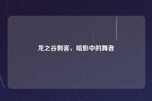 龙之谷刺客，暗影中的舞者