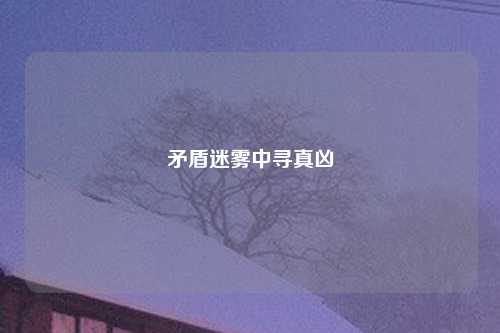 矛盾迷雾中寻真凶