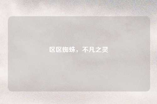 区区蜘蛛，不凡之灵