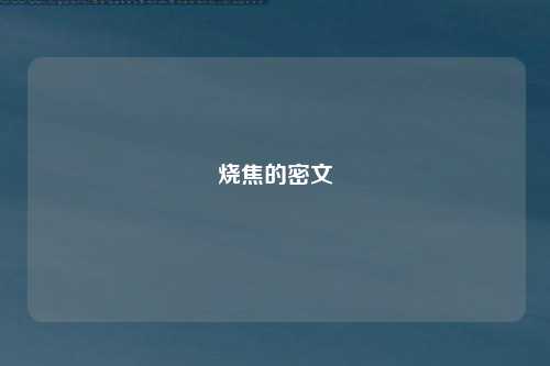烧焦的密文