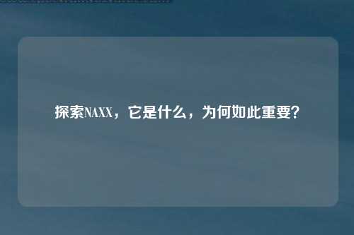 探索NAXX，它是什么，为何如此重要？