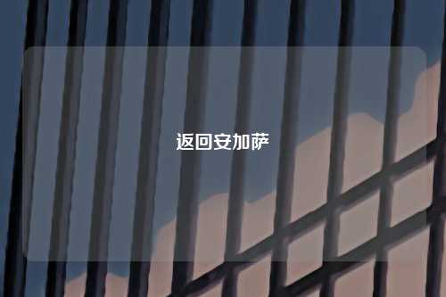返回安加萨