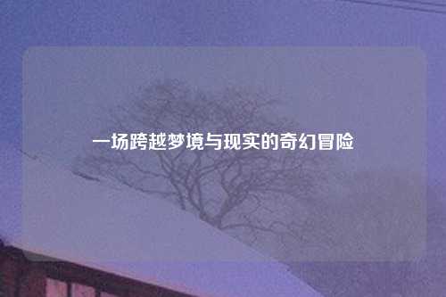 一场跨越梦境与现实的奇幻冒险