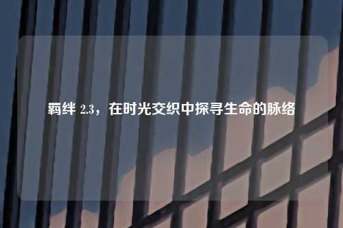 羁绊 2.3，在时光交织中探寻生命的脉络