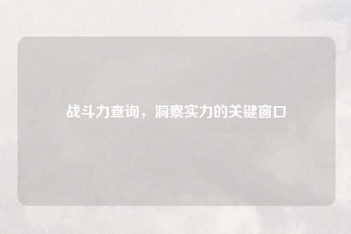 战斗力查询，洞察实力的关键窗口