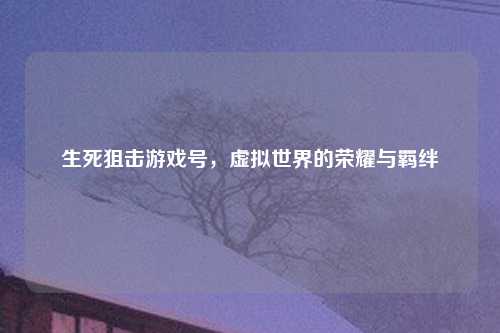 生死狙击游戏号，虚拟世界的荣耀与羁绊