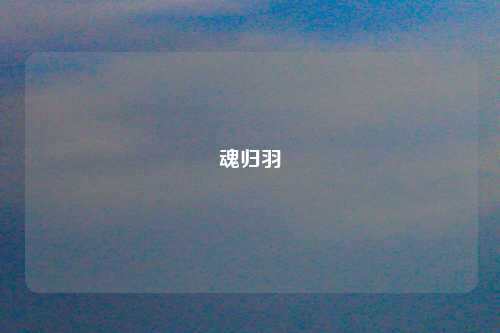 魂归羽