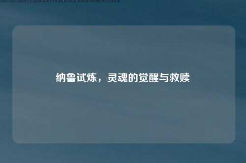 纳鲁试炼，灵魂的觉醒与救赎