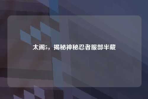 太阁5，揭秘神秘忍者服部半藏