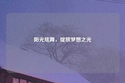 阳光炫舞，绽放梦想之光