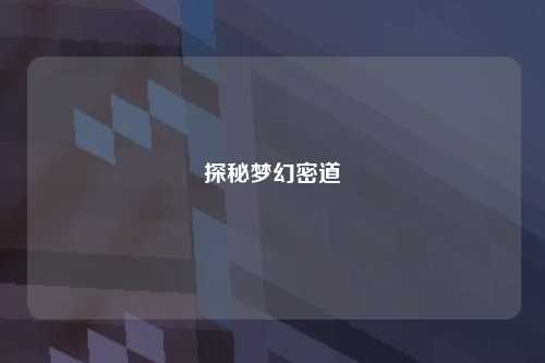 探秘梦幻密道
