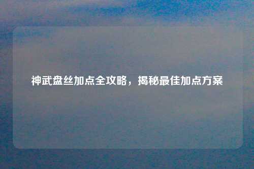 神武盘丝加点全攻略，揭秘最佳加点方案