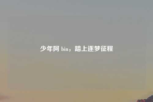 少年阿 bin，踏上逐梦征程
