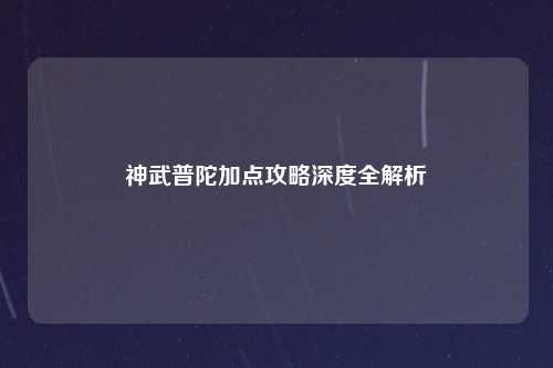 神武普陀加点攻略深度全解析