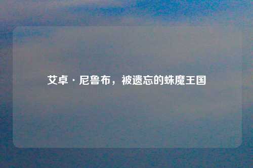 艾卓·尼鲁布，被遗忘的蛛魔王国