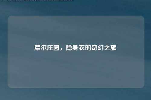 摩尔庄园，隐身衣的奇幻之旅