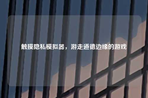 触摸隐私模拟器，游走道德边缘的游戏