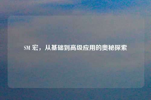 SM 宏，从基础到高级应用的奥秘探索