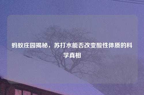蚂蚁庄园揭秘，苏打水能否改变酸性体质的科学真相