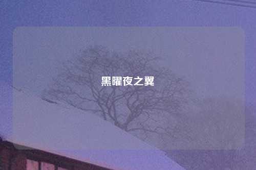 黑曜夜之翼