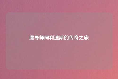 魔导师阿利迪斯的传奇之旅