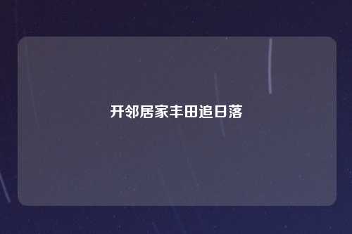 开邻居家丰田追日落