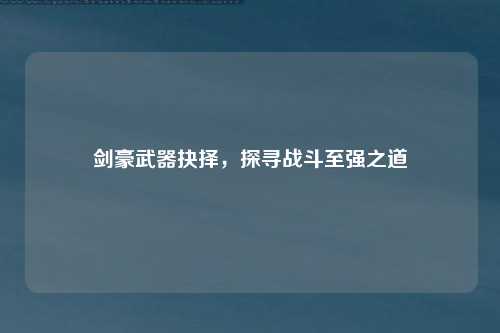 剑豪武器抉择，探寻战斗至强之道