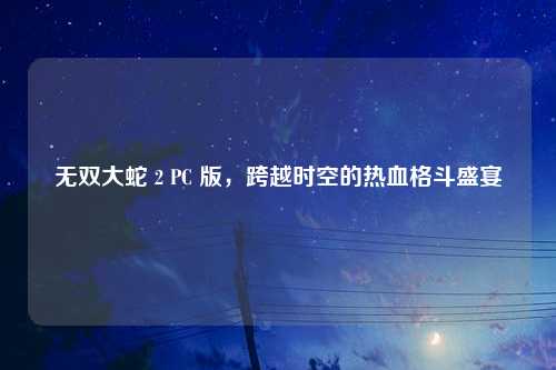 无双大蛇 2 PC 版，跨越时空的热血格斗盛宴