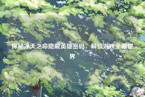 探秘净天之命隐藏英雄密码，解锁游戏全新世界