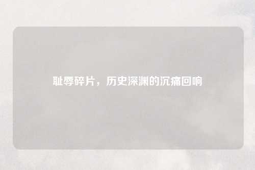 耻辱碎片，历史深渊的沉痛回响