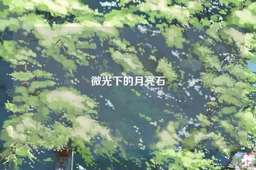 微光下的月亮石