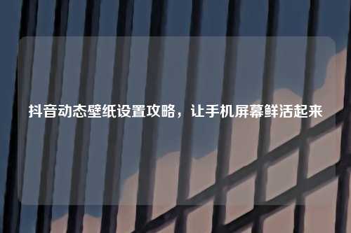 抖音动态壁纸设置攻略，让手机屏幕鲜活起来