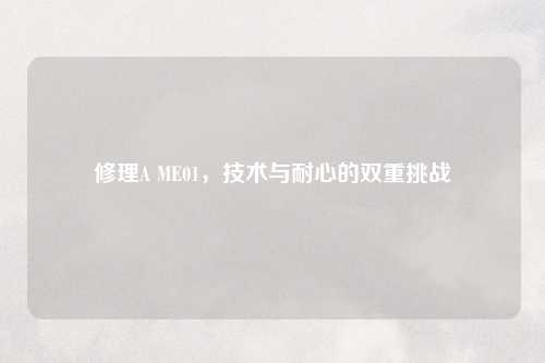修理A ME01，技术与耐心的双重挑战